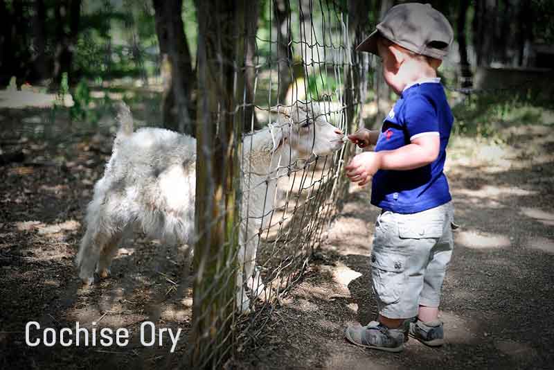 Parc animalier de Gramat